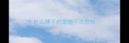 什么牌子的宠物干洗粉好
