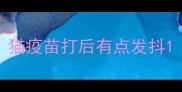 猫疫苗打后有点发抖