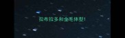 拉布拉多和金毛体型