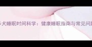 拉布拉多犬睡眠时间科学健康睡眠指南与常见问题全解答
