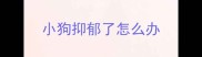 小狗抑郁了怎么办