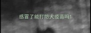 感冒了能打防犬疫苗吗