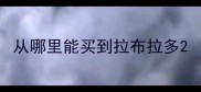 从哪里能买到拉布拉多