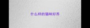 什么样的猫咪好养