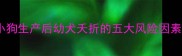 小狗生产后幼犬夭折的五大风险因素