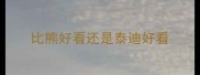 比熊好看还是泰迪好看