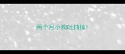 两个月小狗吐抽搐