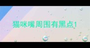 猫咪嘴周围有黑点