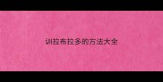 训拉布拉多的方法大全