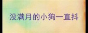 没满月的小狗一直抖