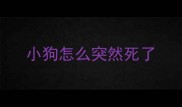 小狗怎么突然死了