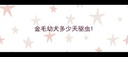 金毛幼犬多少天驱虫