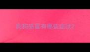 狗狗感冒有哪些症状