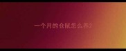 一个月的仓鼠怎么养