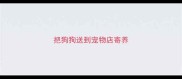 把狗狗送到宠物店寄养