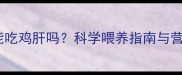 金毛幼犬能吃鸡肝吗科学喂养指南与营养搭配全