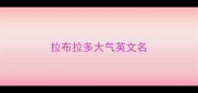 拉布拉多大气英文名