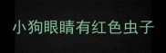 小狗眼睛有红色虫子