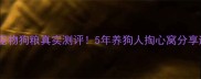 上海雪山宠物狗粮真实测评5年养狗人掏心窝分享避坑指南