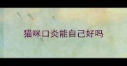 猫咪口炎能自己好吗