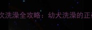 四个月大哈士奇首次洗澡全攻略幼犬洗澡的正确步骤与注意事项