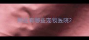 附近有哪些宠物医院