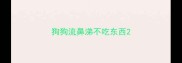 狗狗流鼻涕不吃东西