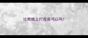 比熊晚上打疫苗可以吗