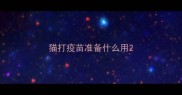 猫打疫苗准备什么用