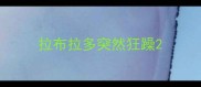 拉布拉多突然狂躁