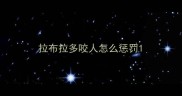 拉布拉多咬人怎么惩罚