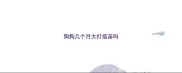 狗狗几个月大打疫苗吗