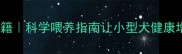 泰迪变胖秘籍科学喂养指南让小型犬健康增重不踩坑