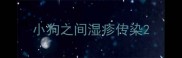 小狗之间湿疹传染