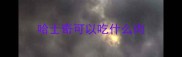 哈士奇可以吃什么肉