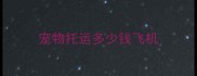 宠物托运多少钱飞机