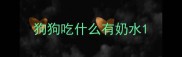 狗狗吃什么有奶水
