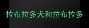 拉布拉多犬和拉布拉多