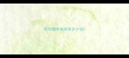 给母猫咪做绝育多少钱