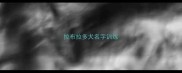 拉布拉多犬名字训练