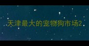 天津最大的宠物狗市场