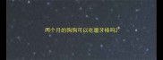 两个月的狗狗可以吃磨牙棒吗