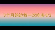 3个月的边牧一次吃多少