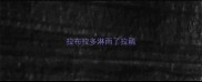 拉布拉多淋雨了拉稀