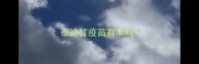 泰迪打疫苗有本吗