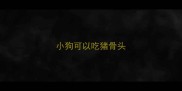 小狗可以吃猪骨头