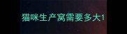 猫咪生产窝需要多大