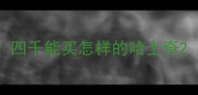 四千能买怎样的哈士奇