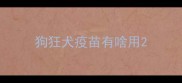 狗狂犬疫苗有啥用