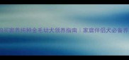 领养代替购买家养纯种金毛幼犬领养指南家庭伴侣犬必备养护全攻略